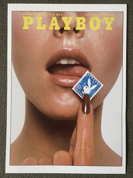 A4 VINTAGE 1973 PLAYBOY MAGAZINE Cover Art Print Carousel 1