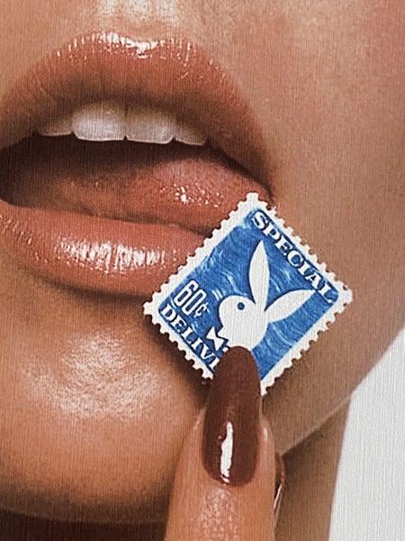 A4 VINTAGE 1973 PLAYBOY MAGAZINE Cover Art Print Carousel 2