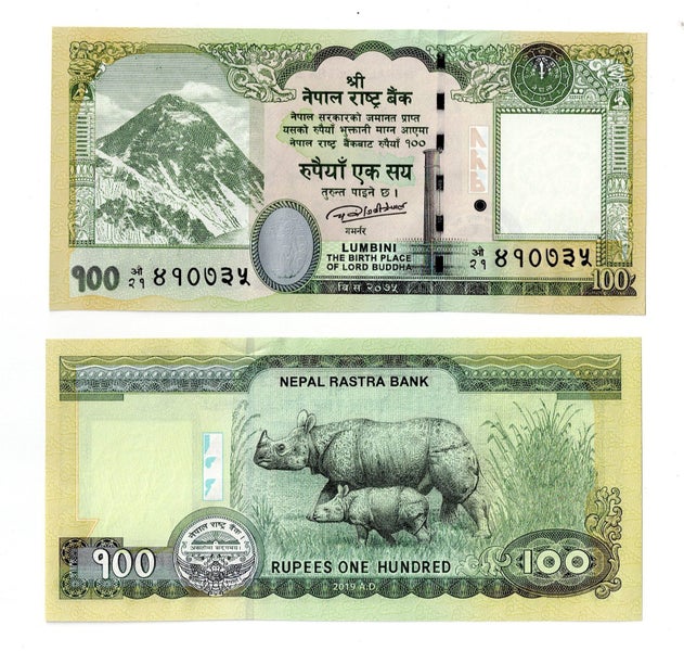 NEPAL 2019 100 Rupees banknote, RHINOCEROS AND CALF UNC Carousel 1