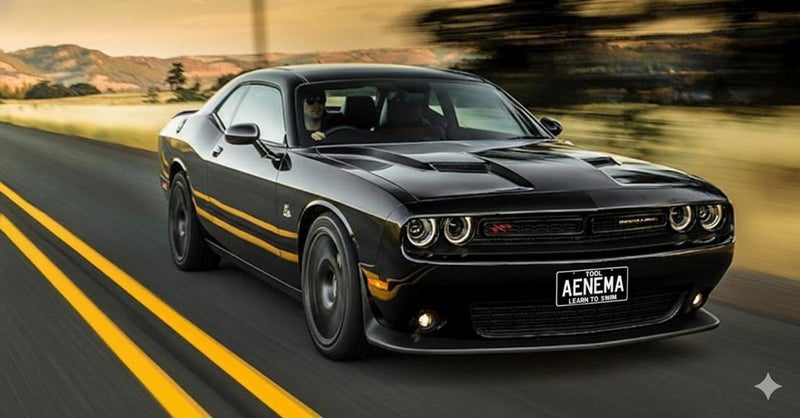 ÆNEMA Personalised Plate – TOOL Tribute64343139951489113