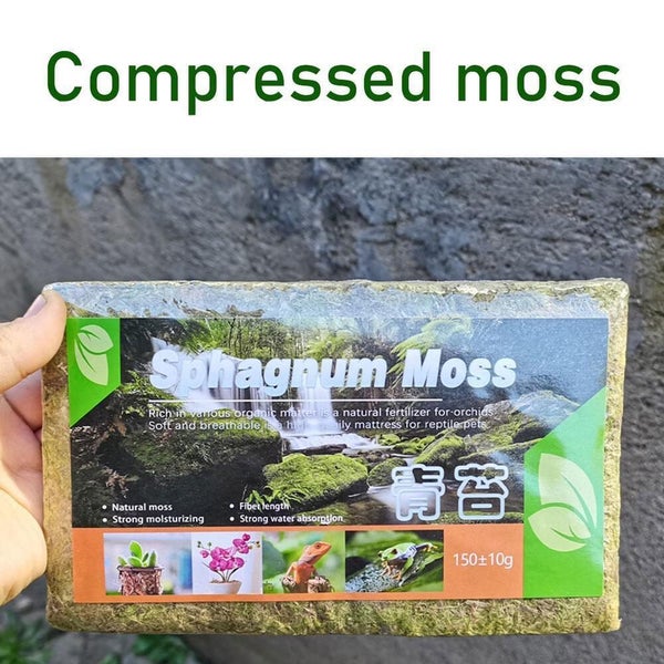 Compressed Sphagnum Moss for Potted Plant Orchid Potting Mix Peat Moss Pole Carousel 13