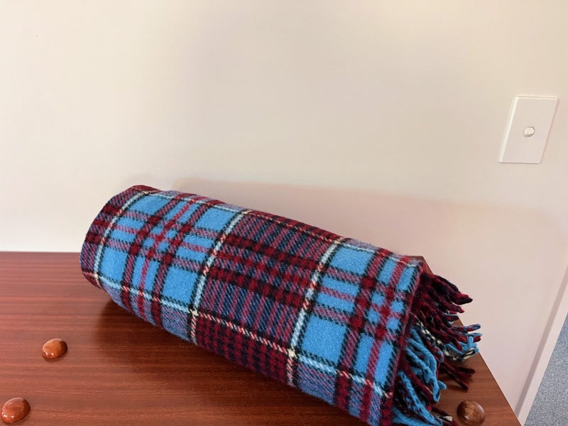 Vintage NZ Wool Travel Rug Blanket Carousel 1