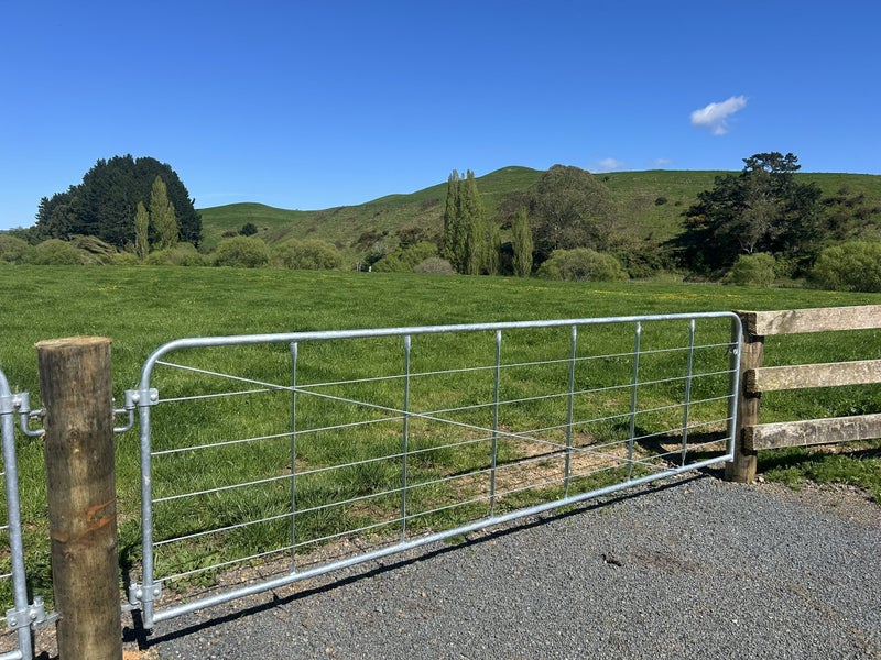 Lifestyle sections with space!64160417685122111