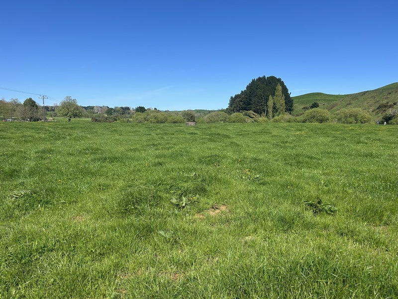 Lifestyle sections with space!64160417685122113