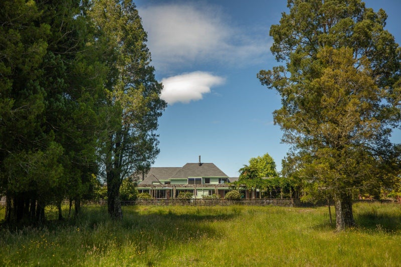 What A Fun Lifestyle Carousel 1