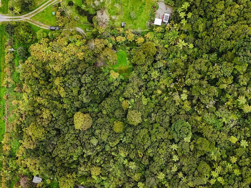 Your Own Slice of Coast Road Magic!64161826376449112