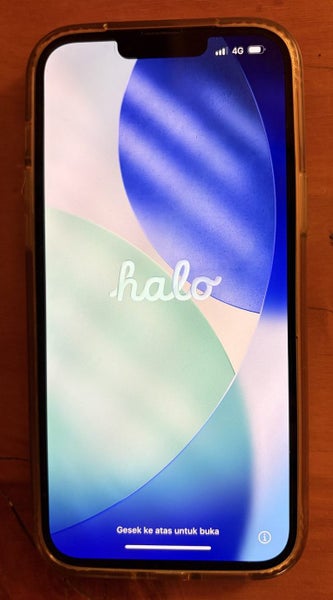 iPhone 13 ProMax 1TB!! Sierra Blue IOS 26 Dual SIM64274818970113110