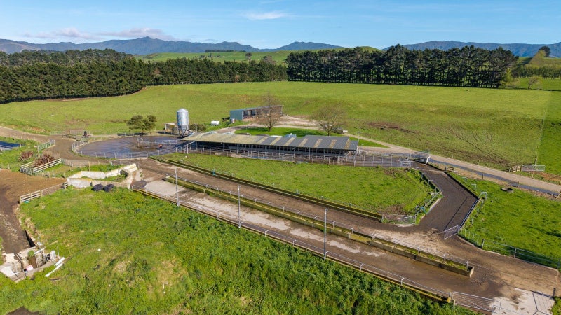 Glenbrook - 269 ha - Multiple purchase options64162048638337111