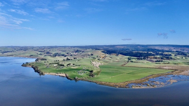 Dairy support, sheep, beef or development option64240768455169110