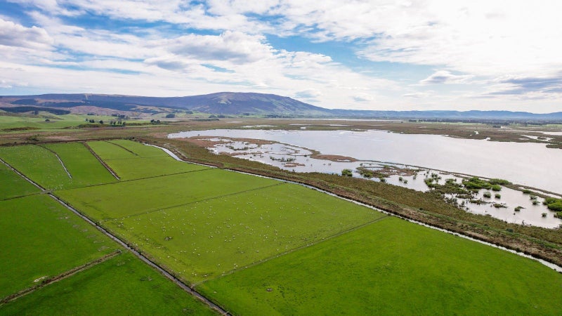 Dairy support, sheep, beef or development option64240768455169112