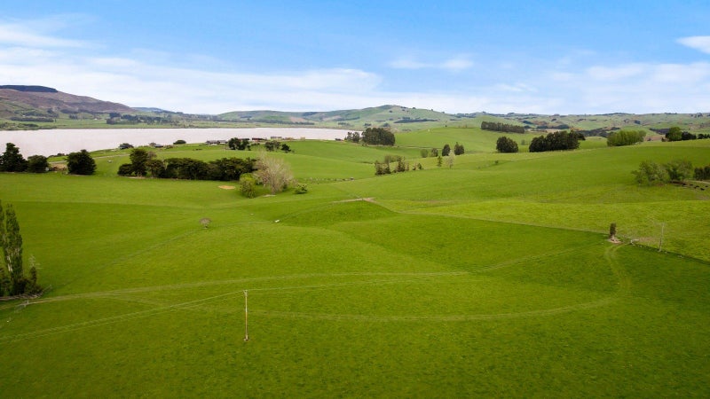 Dairy support, sheep, beef or development option64240768455169114