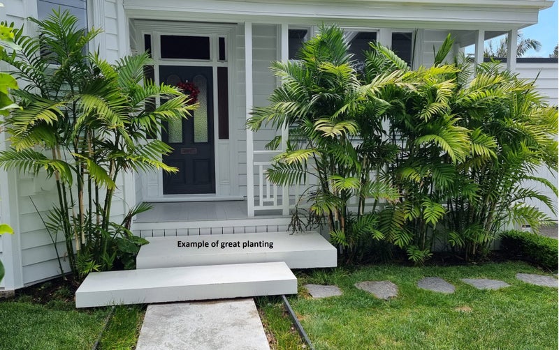 Costaricana Palm Carousel 1