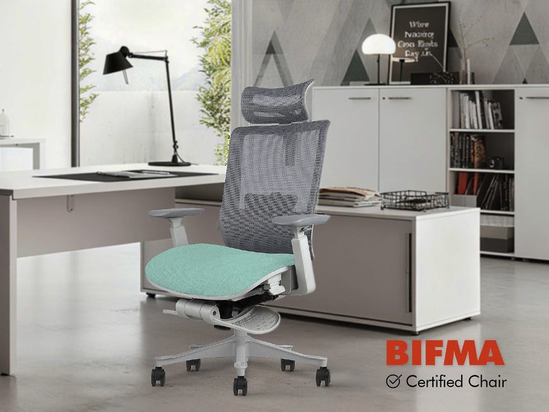 Ergonomic Office Chair Carousel 2