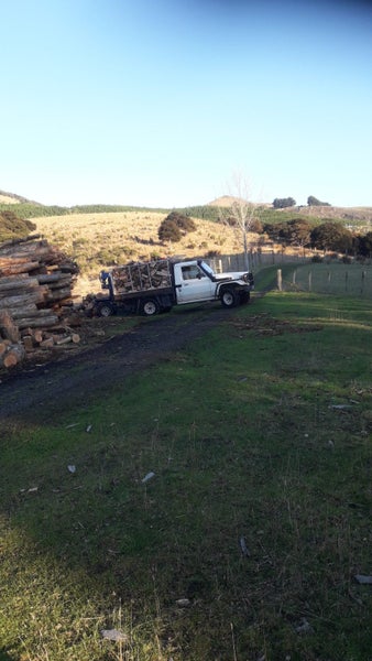 Bone Dry Poplar/Oregon/Pine Mix Carousel 2