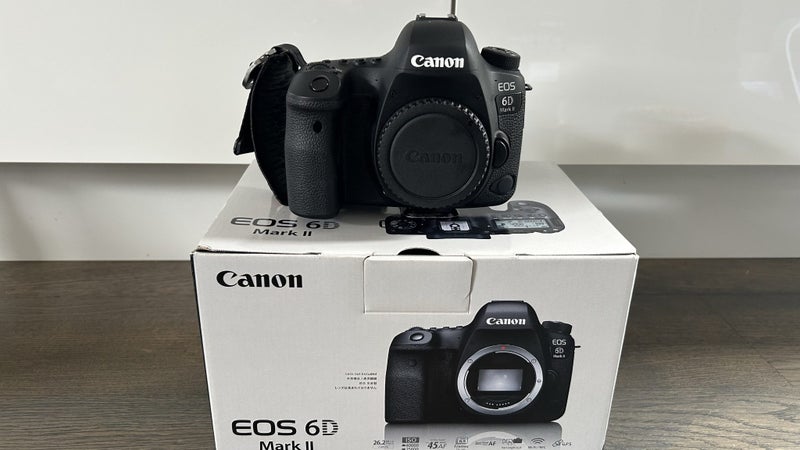 Canon 6D & lenses, Flash,Tripod64184483886978112