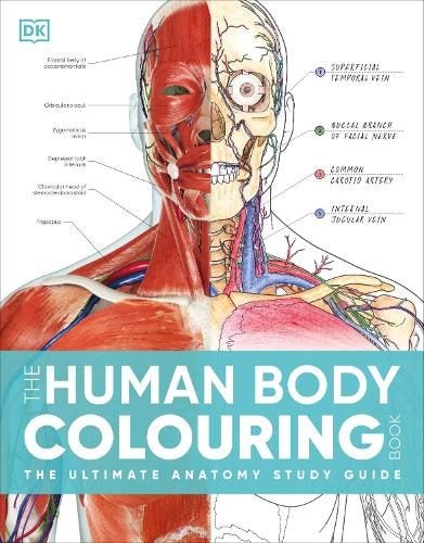 Human Body Colouring Book (ISBN 9780241664537) By DK Carousel 1