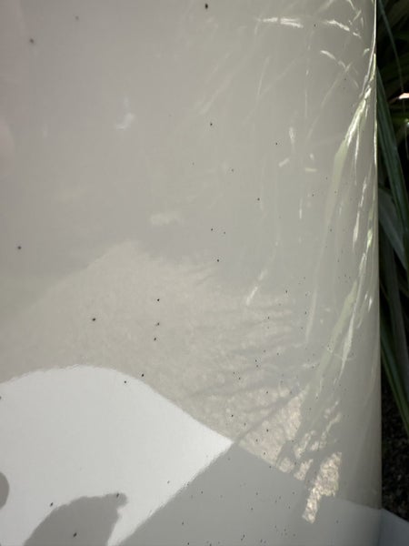 White solid stone bench top and basins + toilet Carousel 12