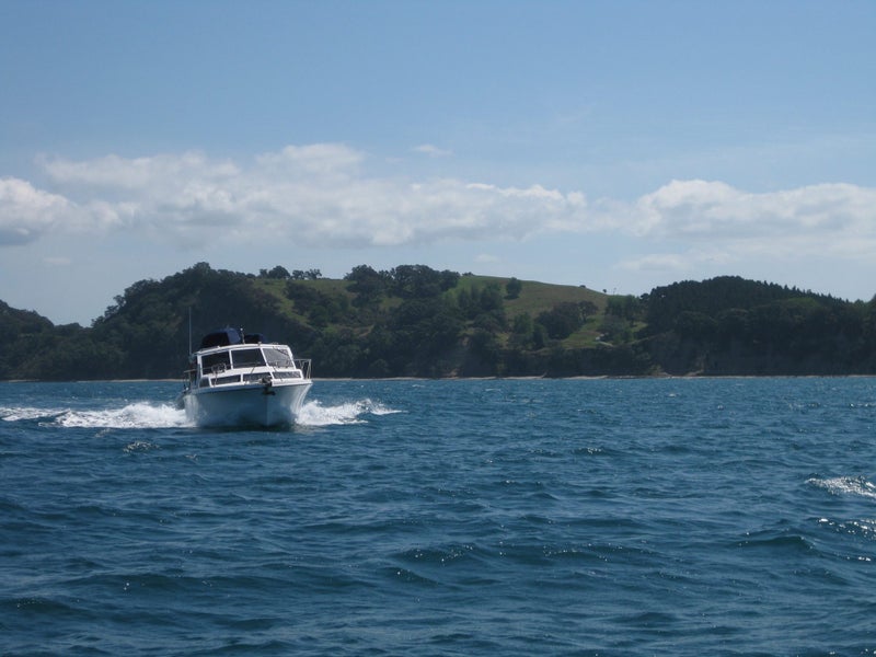 Vindex 34 - safe, sturdy and ready for summer64196723142529112