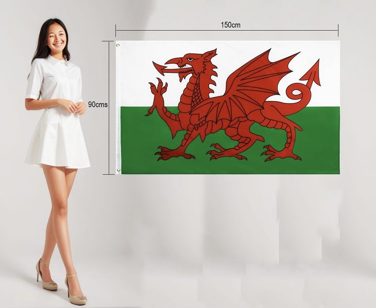 Welsh Wales Flag Carousel 1