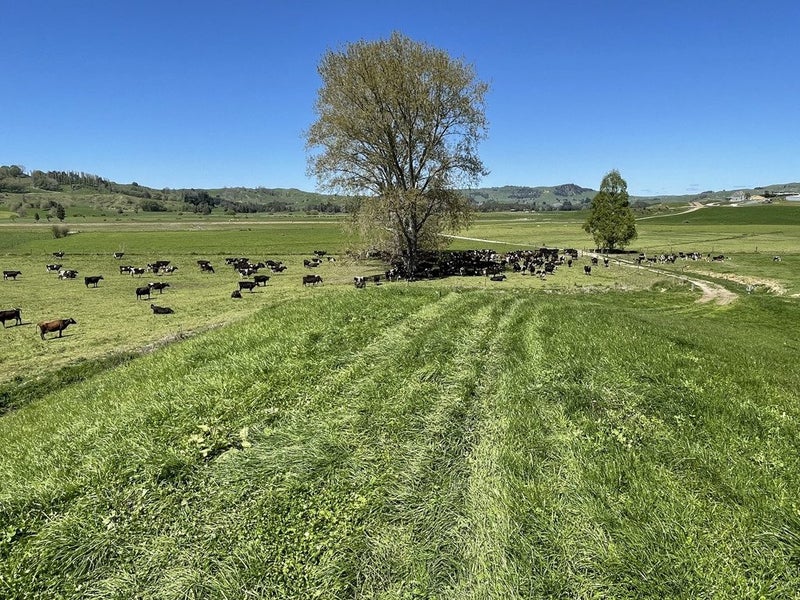 Value for Money in the King Country64204326387203112