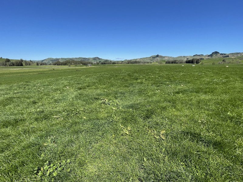 Value for Money in the King Country64204326387203113