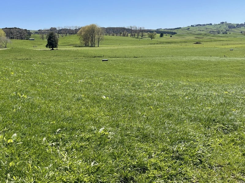 Value for Money in the King Country64204326387203114