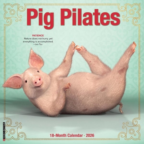Pig Pilates 2026 Wall Calendar by Willow Creek Press - Carousel 1
