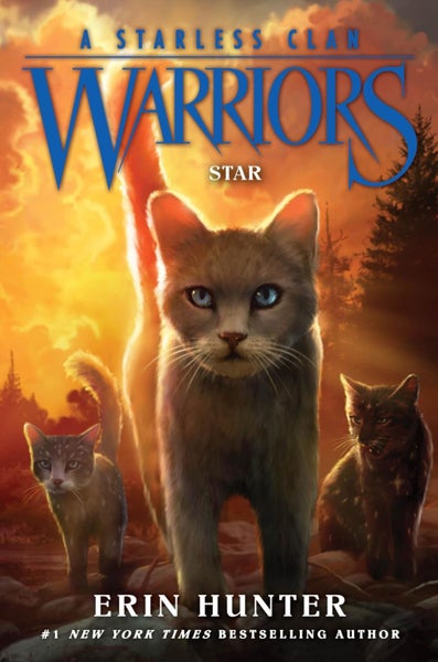 Warriors: A Starless Clan #6: Star Carousel 1