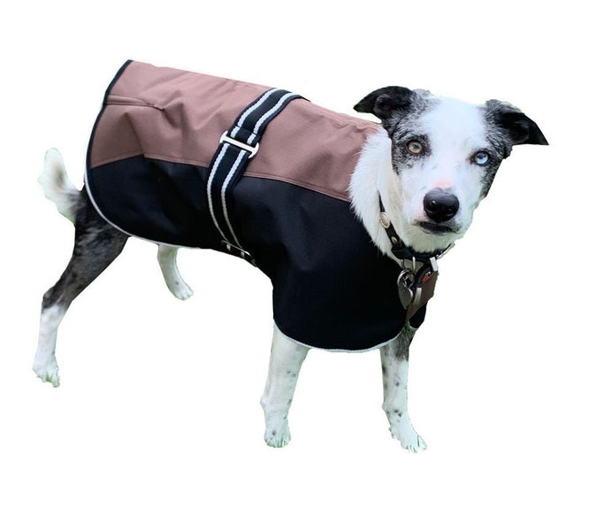 NEW Dog Coat Waterproof rug Two Tone well fitted fur lined Showcraft 40cm-80cm Carousel 1