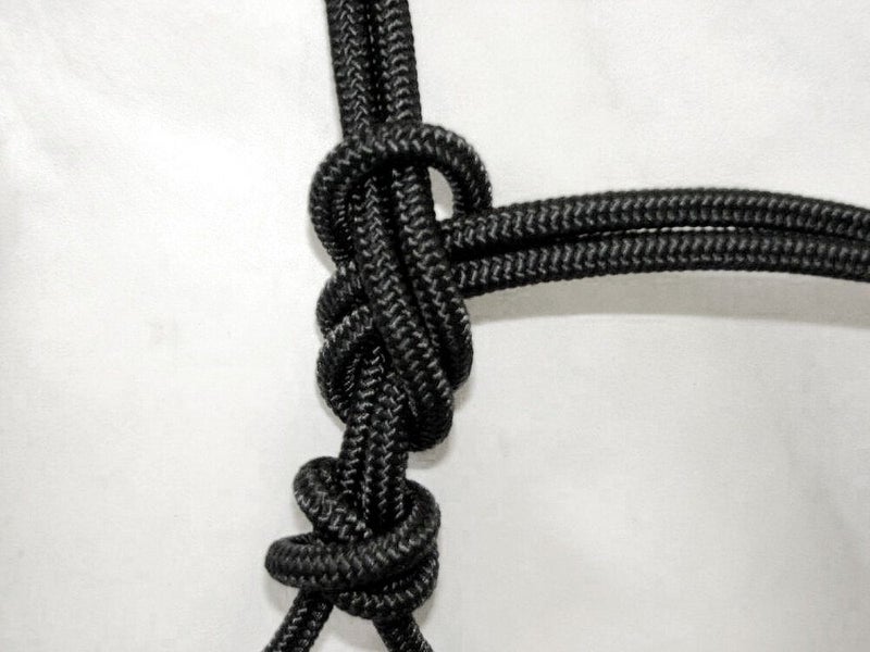 Natural Horsemanship Rope Halter Tack Gear Horse Blue Cob Carousel 3