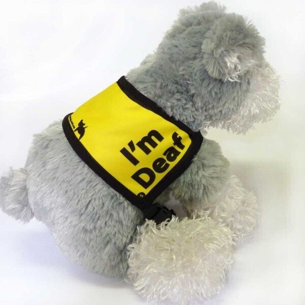 Black Dog Wear Awareness Vest -I'm DeafXsmall-Large [XSmall] Carousel 1