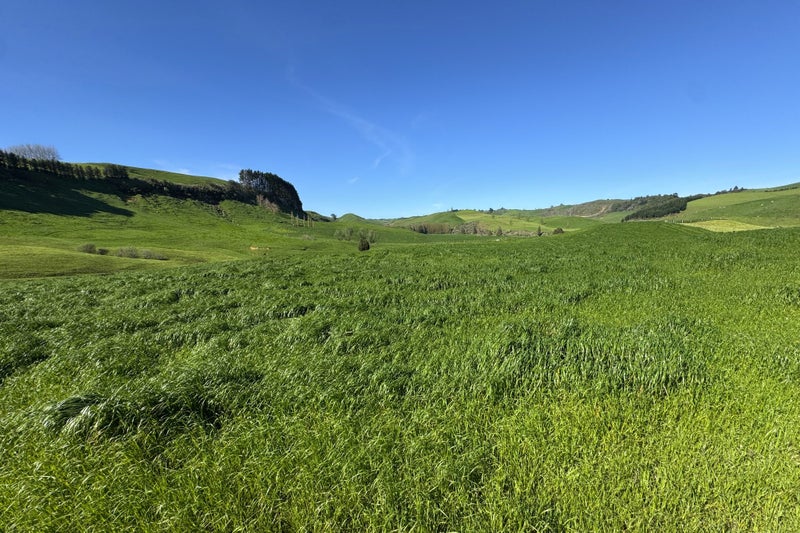 First Farm Opportunity with X Factor64215475771651112