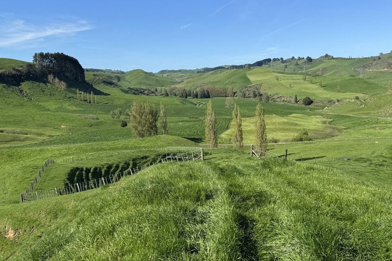 First Farm Opportunity with X Factor64215475771651113