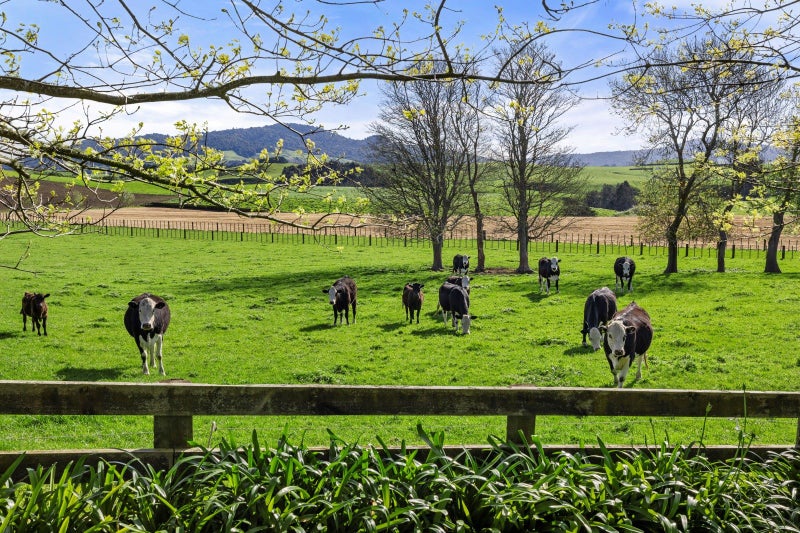 Breathtaking Views in Stand Out Location64215965287554111