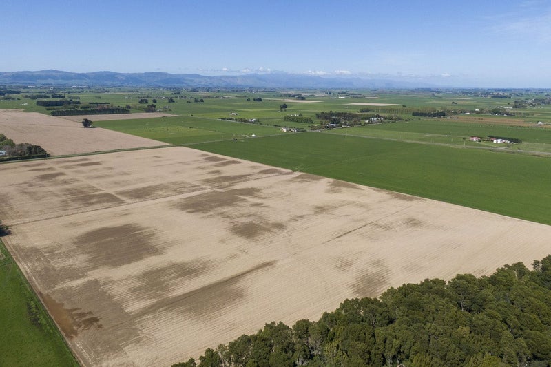 Highly Productive Soils, Highly Attractive Environ64216922241539113