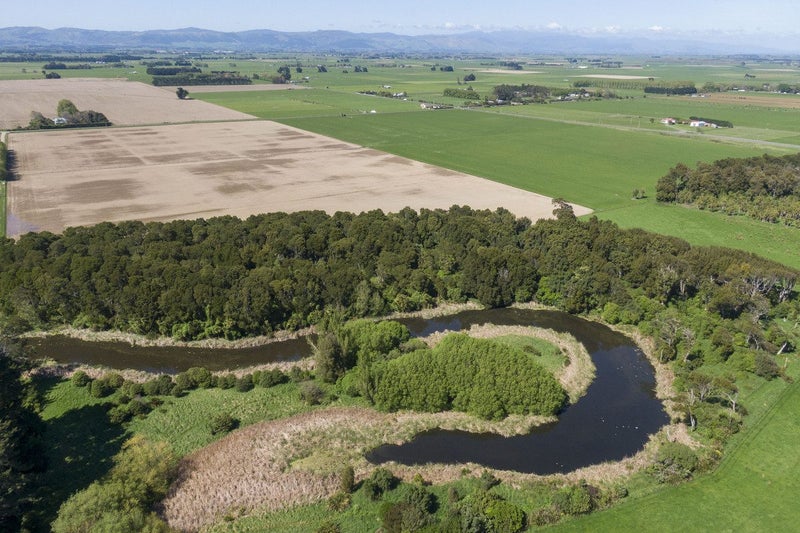 Highly Productive Soils, Highly Attractive Environ64216922241539114