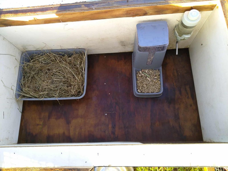 Mini Lop rabbit and cage Carousel 6