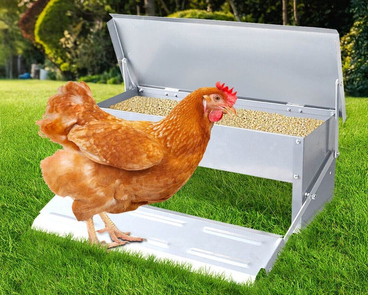 Chicken Feeder Waterproof Automatic Carousel 1