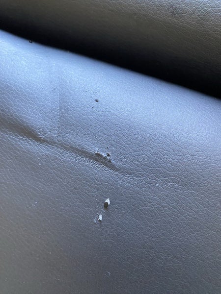 Tahiti portable massage table - Salon quality with carry bag (Masterton) Carousel 9