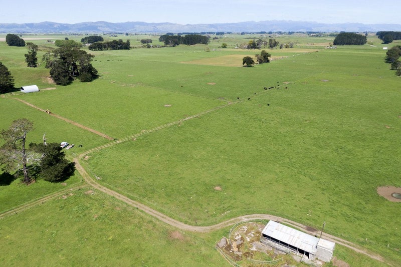 Nice Balance Of Soils On 52.4ha64295499218049114