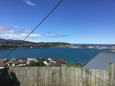 Hataitai, 4 bedrooms64626832197506111