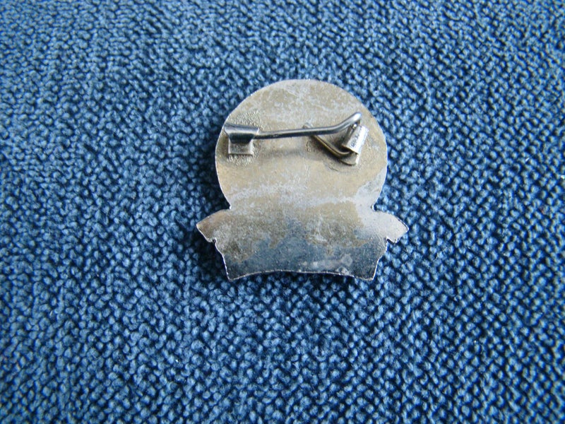 New Zealand TINWALD GOLF CLUB Badge Carousel 2