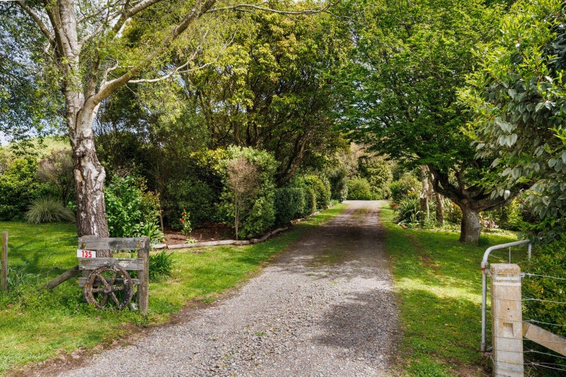 Charm and character64229161052546111