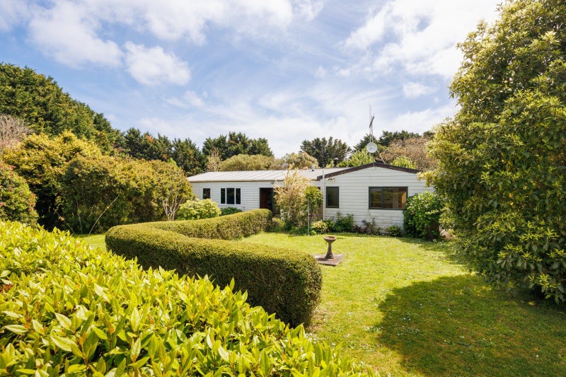 Charm and character64229161052546113