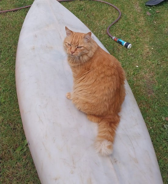 Leo is missing Carousel 1