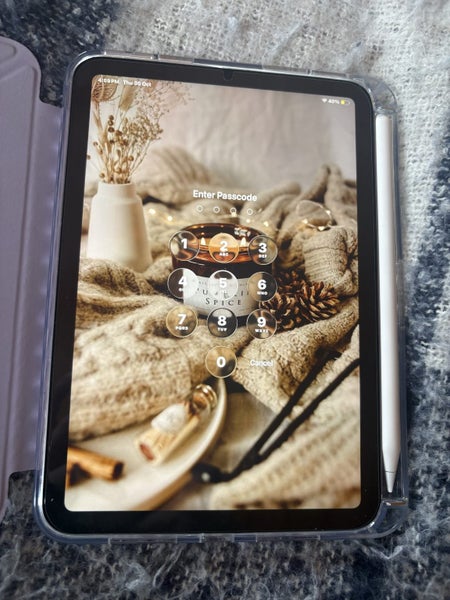 Ipad Mini 6 with cellular64230352414849111