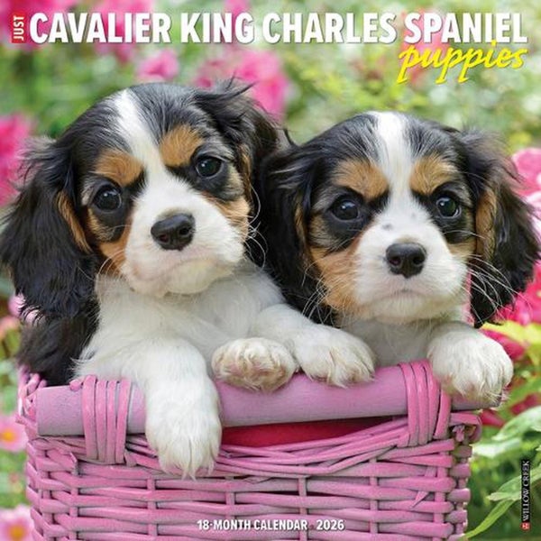 Cavalier King Charles Spaniel Puppies 2026 12 X 12 Wall Calendar by Willow Creek Carousel 1