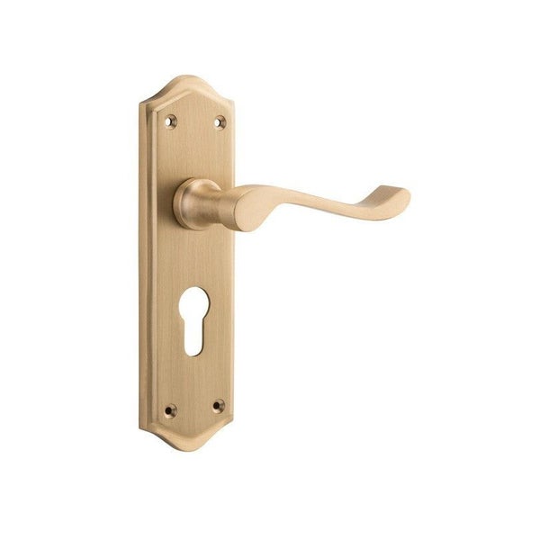 Tradco Henley Lever Door Handle on Shouldered Backplate Satin Brass Carousel 1