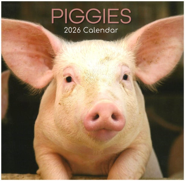 2026 Wall Calendar Piggies Carousel 1