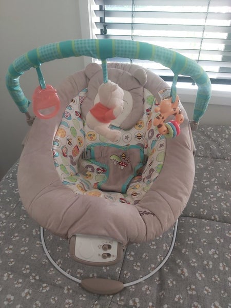 Winnie the pooh bouncer64365930439042110